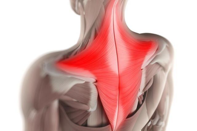 Мышечные зажимы шеи и спины: снятие боли изменением позы Как расслабить мышцы плеча